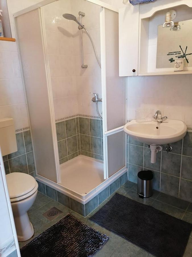 Pesnica pri Mariboru Apartma Pusa מראה חיצוני תמונה